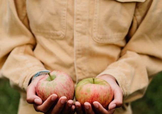 The Connection between Nutrition and Adolescent Development